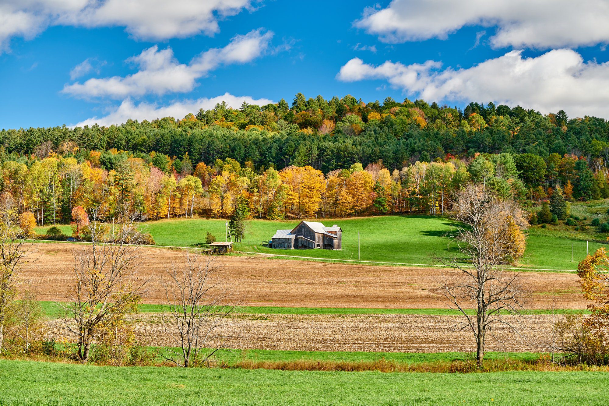 Autumn landscape with old house