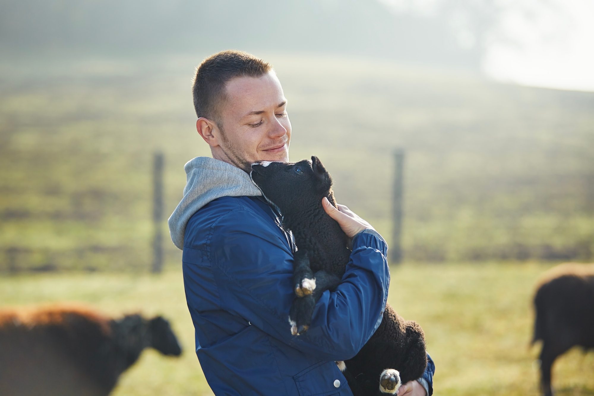 Farmer holding lamb in herd of sheep
